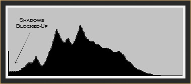 Histogram Showing Under Exposure